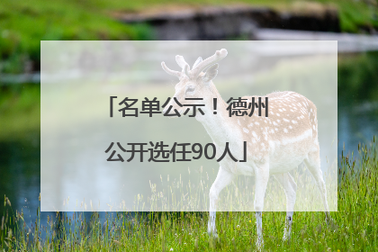 名单公示！德州公开选任90人