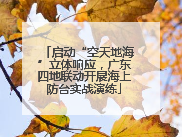 启动“空天地海”立体响应，广东四地联动开展海上防台实战演练