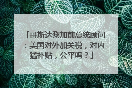 哥斯达黎加前总统顾问：美国对外加关税，对内猛补贴，公平吗？
