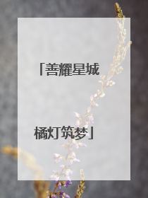 善耀星城 橘灯筑梦
