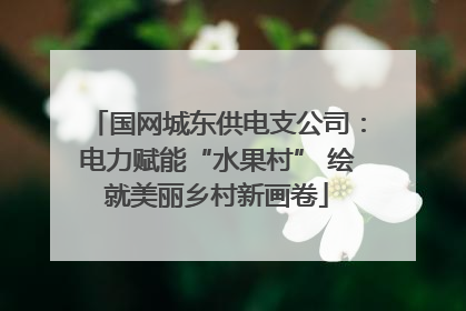国网城东供电支公司：电力赋能“水果村” 绘就美丽乡村新画卷