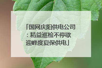 国网庆阳供电公司：精益巡检不停歇 迎峰度夏保供电