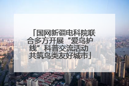 国网新疆电科院联合多方开展“爱鸟护线”科普交流活动 共筑鸟类友好城市