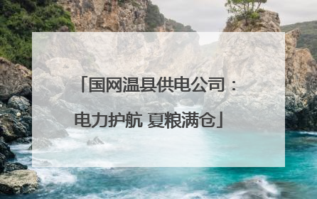 国网温县供电公司：电力护航 夏粮满仓