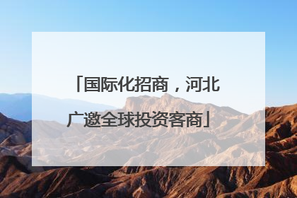 国际化招商，河北广邀全球投资客商
