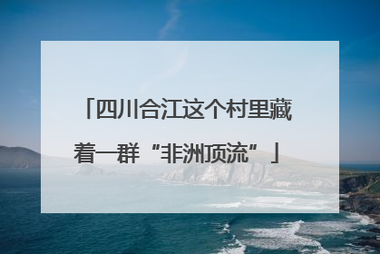 四川合江这个村里藏着一群“非洲顶流”