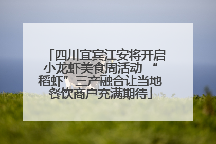 四川宜宾江安将开启小龙虾美食周活动 “稻虾”三产融合让当地餐饮商户充满期待