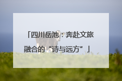 四川岳池：奔赴文旅融合的“诗与远方”