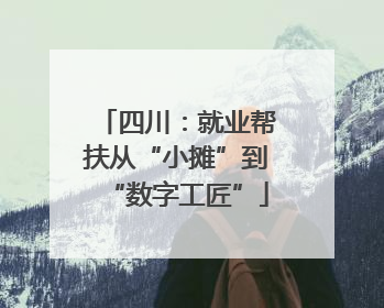 四川：就业帮扶从“小摊”到“数字工匠”