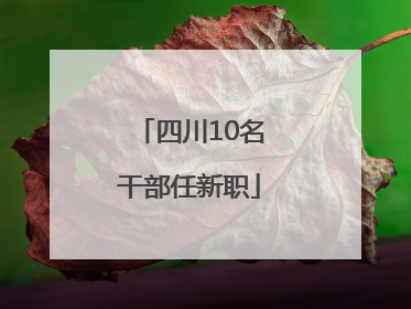 四川10名干部任新职