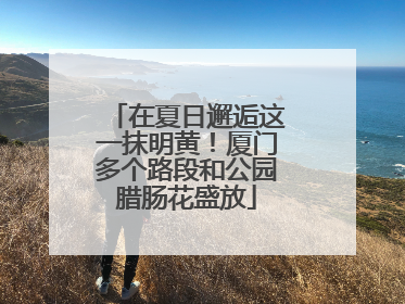 在夏日邂逅这一抹明黄！厦门多个路段和公园腊肠花盛放