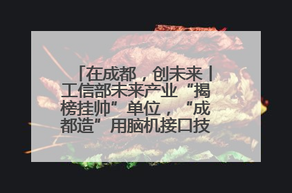 在成都，创未来丨工信部未来产业“揭榜挂帅”单位，“成都造”用脑机接口技术造福孤独症儿童