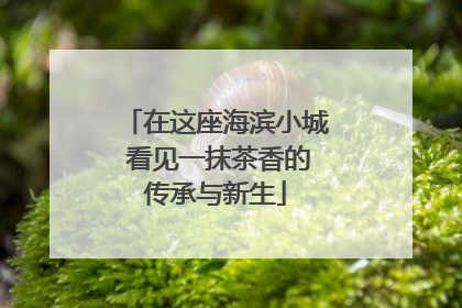 在这座海滨小城 看见一抹茶香的传承与新生