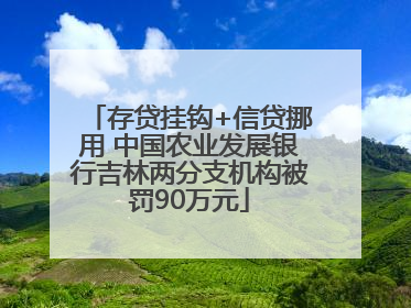 存贷挂钩+信贷挪用 中国农业发展银行吉林两分支机构被罚90万元