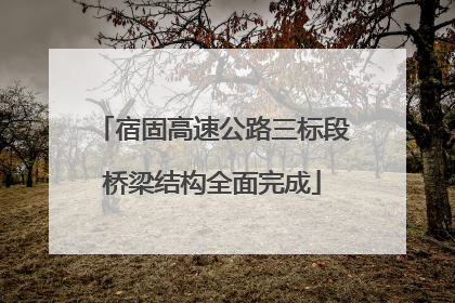 宿固高速公路三标段桥梁结构全面完成