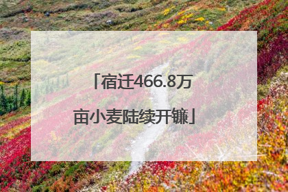 宿迁466.8万亩小麦陆续开镰