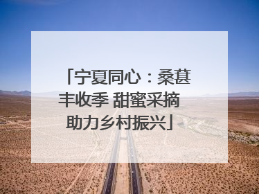 宁夏同心：桑葚丰收季 甜蜜采摘助力乡村振兴
