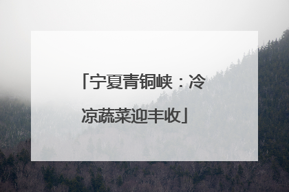 宁夏青铜峡：冷凉蔬菜迎丰收
