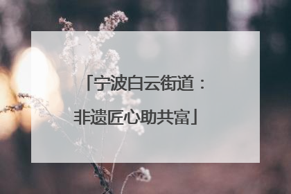 宁波白云街道：非遗匠心助共富