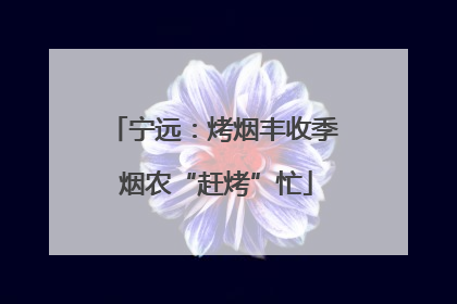 宁远：烤烟丰收季 烟农“赶烤”忙