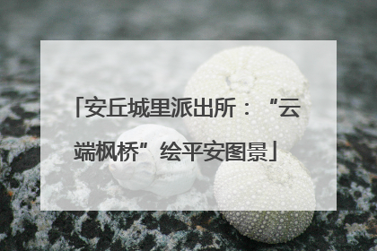 安丘城里派出所：“云端枫桥”绘平安图景