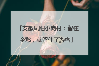 安徽凤阳小岗村：留住乡愁，就留住了游客