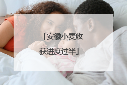 安徽小麦收获进度过半