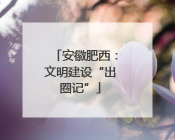 安徽肥西：文明建设“出圈记”
