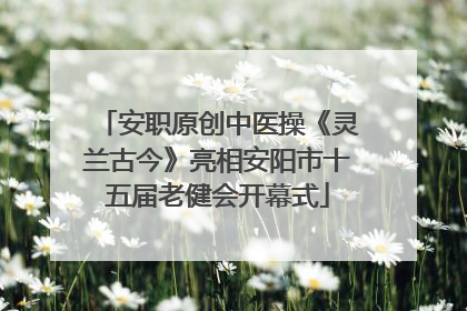 安职原创中医操《灵兰古今》亮相安阳市十五届老健会开幕式