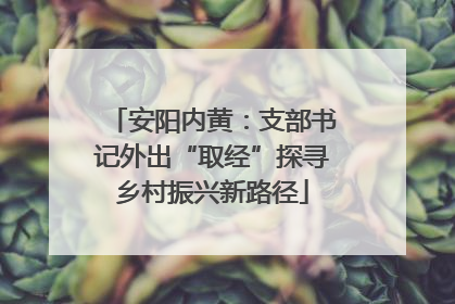 安阳内黄：支部书记外出“取经”探寻乡村振兴新路径