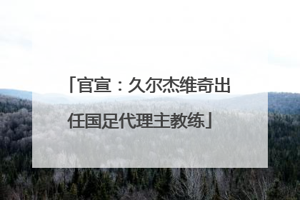 官宣：久尔杰维奇出任国足代理主教练