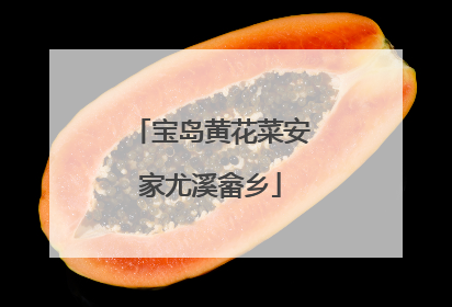 宝岛黄花菜安家尤溪畲乡