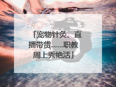 宠物针灸、直播带货……职教周上秀绝活