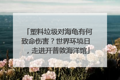 塑料垃圾对海龟有何致命伤害？世界环境日，走进开普敦海洋馆