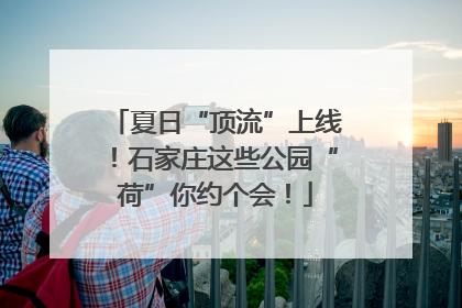 夏日“顶流”上线！石家庄这些公园“荷”你约个会！