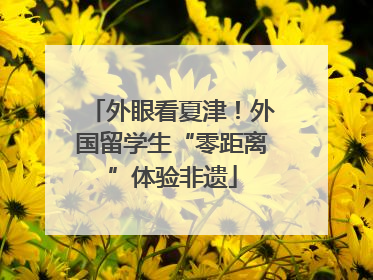 外眼看夏津！外国留学生“零距离”体验非遗