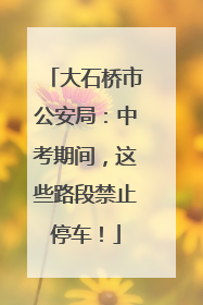 大石桥市公安局：中考期间，这些路段禁止停车！