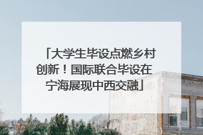 大学生毕设点燃乡村创新！国际联合毕设在宁海展现中西交融