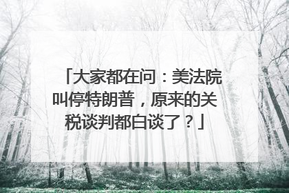 大家都在问：美法院叫停特朗普，原来的关税谈判都白谈了？