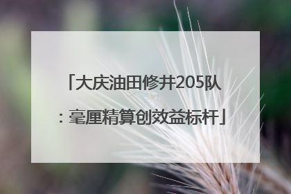大庆油田修井205队：毫厘精算创效益标杆