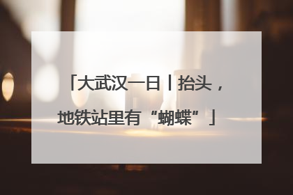 大武汉一日丨抬头，地铁站里有“蝴蝶”