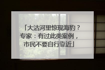 大沽河里惊现海豹？专家：有过此类案例，市民不要自行靠近
