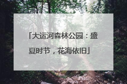 大运河森林公园：盛夏时节，花海依旧