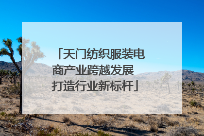 天门纺织服装电商产业跨越发展 打造行业新标杆