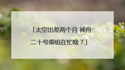 太空出差两个月 神舟二十号乘组在忙啥？