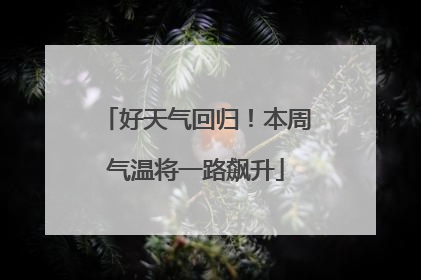 好天气回归！本周气温将一路飙升