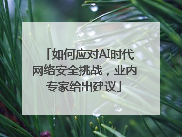 如何应对AI时代网络安全挑战，业内专家给出建议