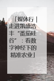 媒体行｜走进凯盛浩丰“番茄硅谷”：看数字神经下的精准农业