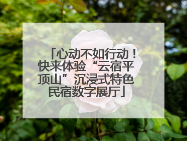 心动不如行动！快来体验“云宿平顶山”沉浸式特色民宿数字展厅