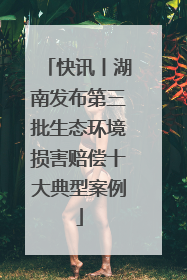 快讯丨湖南发布第三批生态环境损害赔偿十大典型案例